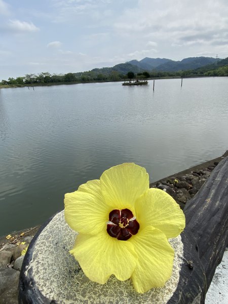 大艽芎古道登溪洲山| Mt.Xizhou |水中土地公廟|峯花雪月2502363