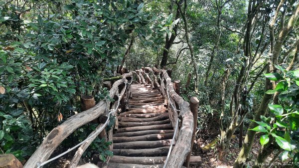 《台中》虎頭蜂巢｜大坑5號登頭嵙山黑松亭（聖普宮）202508092855084