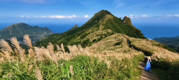 #半屏山 #芒花 11/262946029