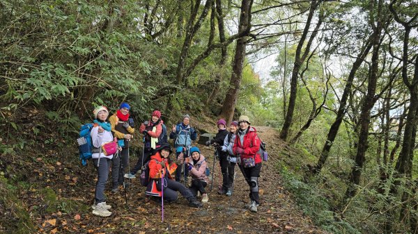 美到爆，觀霧國家森林遊樂區檜山巨木群步道2677769