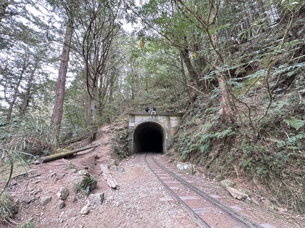 眠月線健行2992990