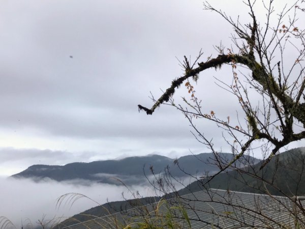 雨霧散遊太平山885857