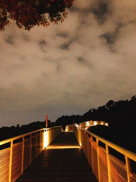 夜晚的八卦山天空步道370348