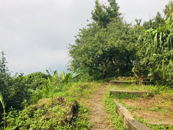 大凍山、雞籠山環行1076527