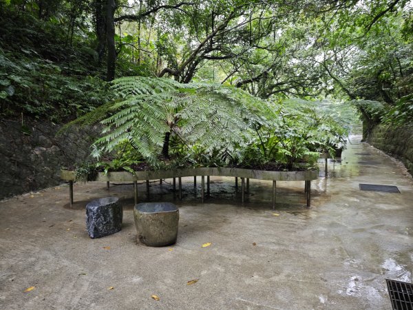 2026_0131 劉銘傳隧道2997821