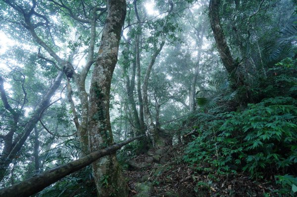 新竹 五峰 鬼澤山2634017