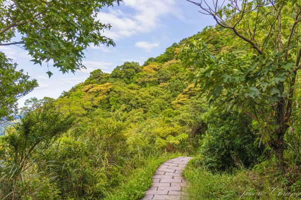 [新北]汐止大尖山2906083