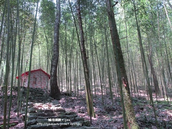 【台中。和平】 與大自然深呼吸。八仙山國家森林遊樂區步道群1427326