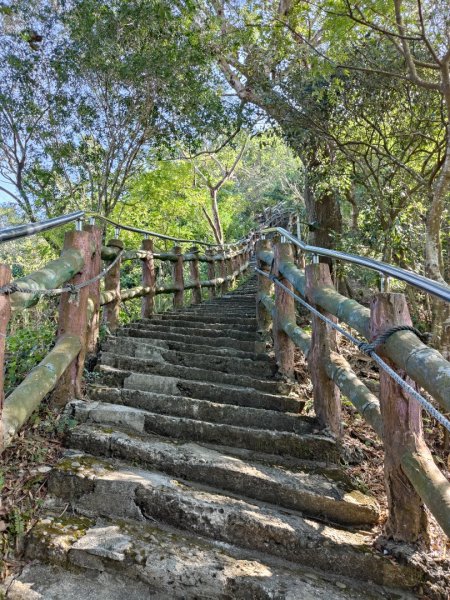 2023.12.24 旗尾山2838053