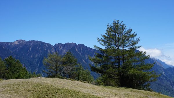 麟趾山。鹿林山1041872