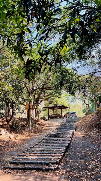 🌈3/22（日）老七佳部落巡禮✨FB：熊熊趴爬走🌈3020233