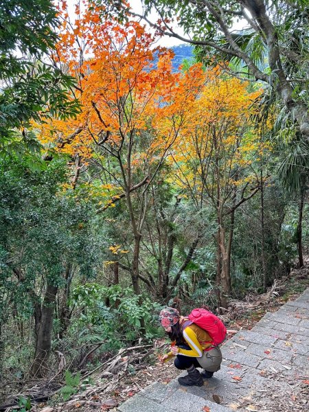 象山公園 四獸山 九五峰 南港山 O繞1970662