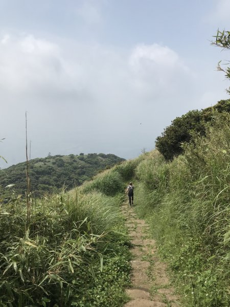 面天山、向天山步道1386852