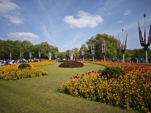 2025_0428 倫敦馬拉松順遊西歐 D10b(白金漢宮)2795180