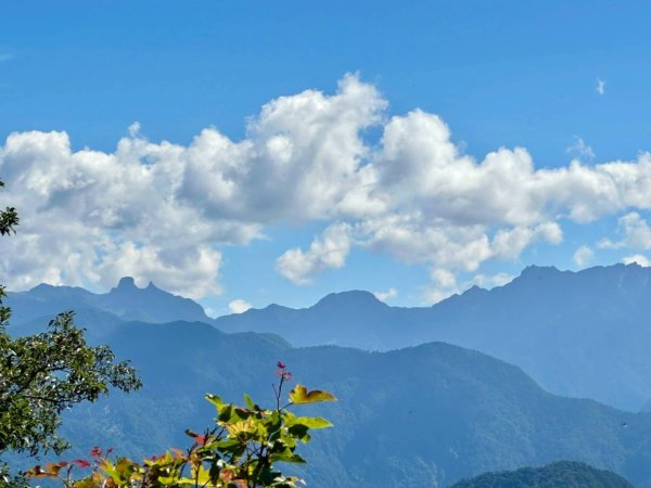20251014雪見遊憩區 🚴‍♂️咖搭車走司馬限林道上東洗水山兩刷北坑山至大板根2916411