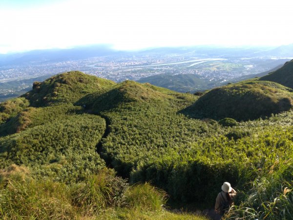 小油坑-七星山主峰-七星山東峰-冷水坑1056871