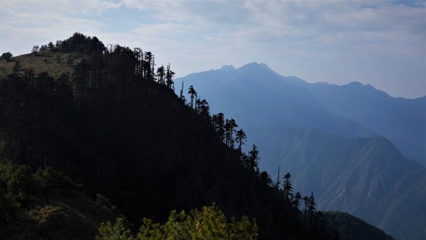 山行漫遊郡大林道上的清水金子郡大三美山1341641