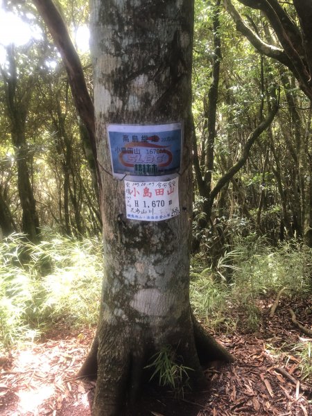 2020/09/13高島縱走P繞1101695