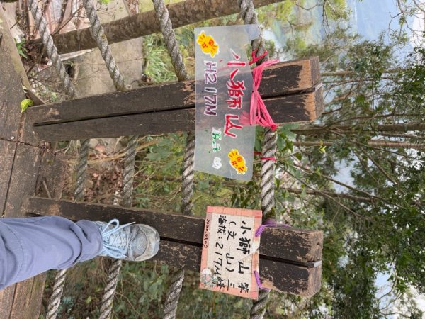 2025元旦 新店獅頭山（小獅山）順遊 高麗坑山，員潭子坑山，待荖坑山，樟湖山，樟山 出政大2680974