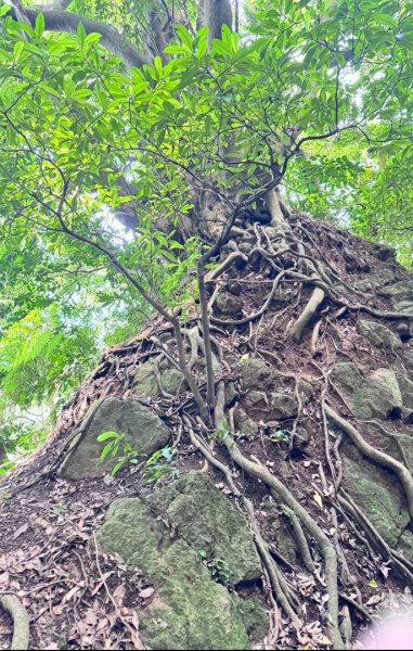 天母水管路走陽明山尖山2881354