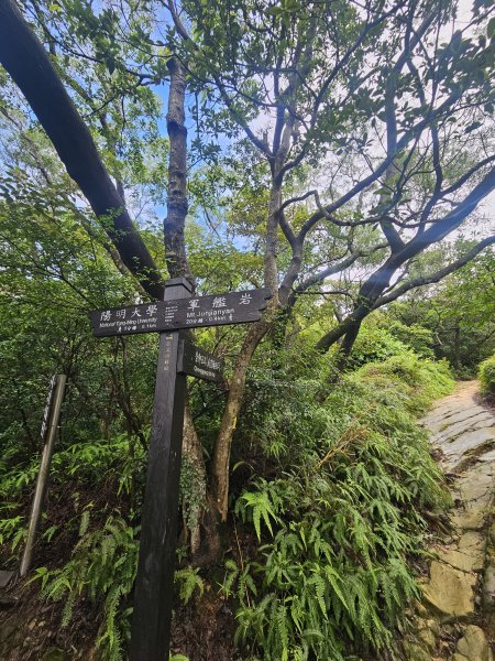 軍艦岩、丹鳳山親山步道3110712