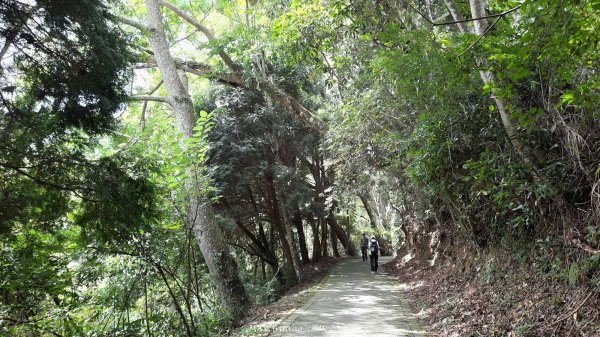 《苗栗》短美清幽｜二本松山丸田砲臺遺址及巨人之手202407202555112