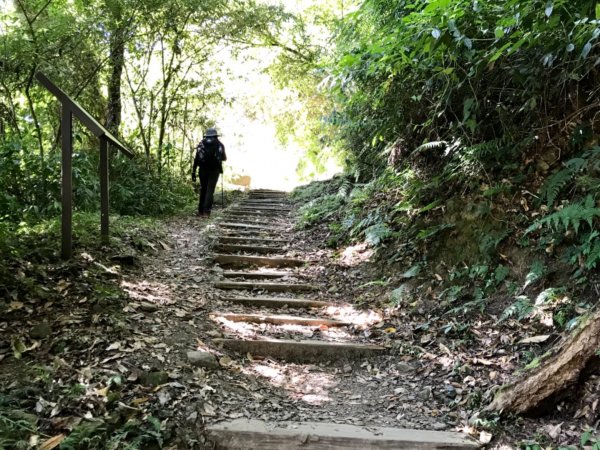 自忠上東水山連走特富野古道1244571