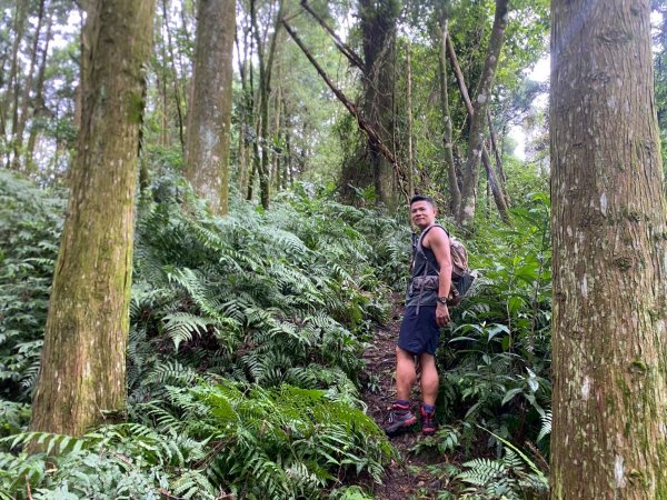 新竹橫山.大崎棟古道.騎龍古道【二個古道走向二個截然不同的方向】2868739