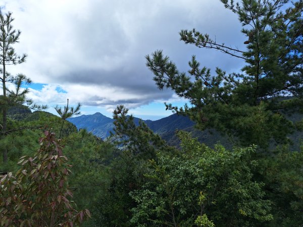 觀霧之榛山O型202411232653945