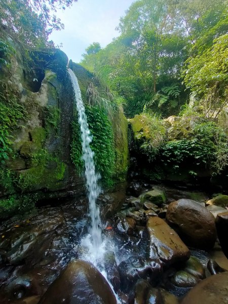 茶香環狀步道群（小天空、健康、壺穴步道、茶展中心步道）2135881