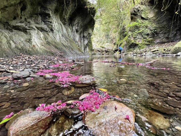 鍛鍊海鼠O型縱走 (上)1314477