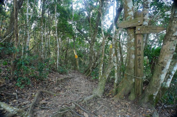 苗栗 泰安 上島山3023050