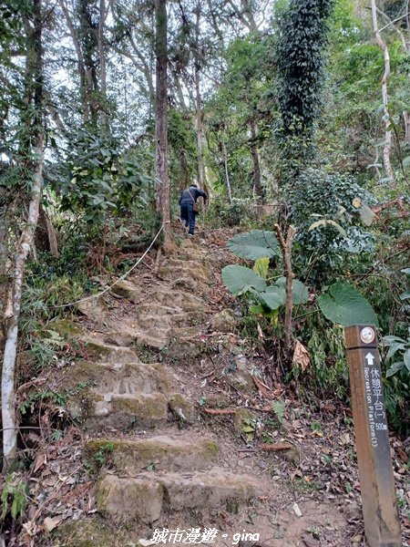 【台中和平】 雙崎部落款款行。 埋伏坪登山步道 (埋伏坪山)2082091