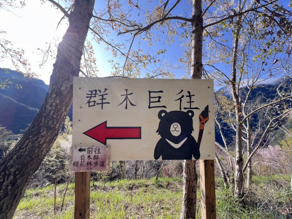 ~ 上帝的部落 - 司馬庫斯 ~3023498