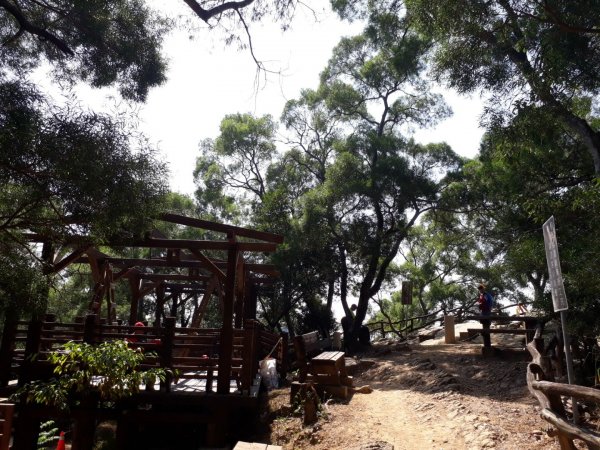 台中大坑步道7上6下20181027444590