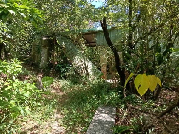 基隆市金交椅山+金交椅南峰+紅淡山東北峰、北北峰、北峰+紅淡山+厲翼嶺出三坑車站2903189