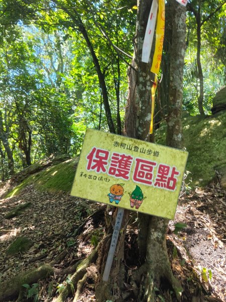 關西赤柯山、東獅頭山步道（玉山太元宮中元）2881697