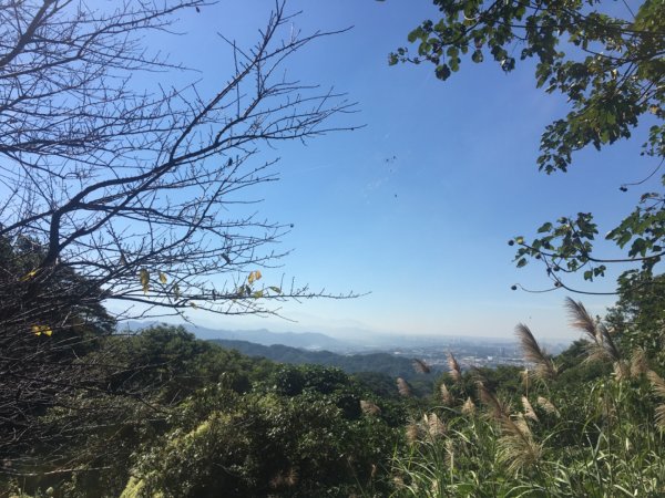 福源山步道、石雲森林步道2358032