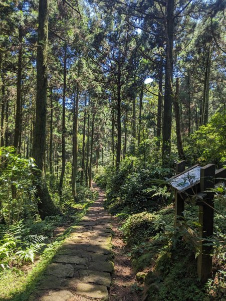 頂山石梯嶺步道2282548