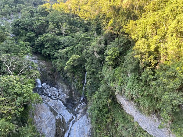 [玉山尋寶任務-03/12] 2025_0810 瓦拉米步道2857392