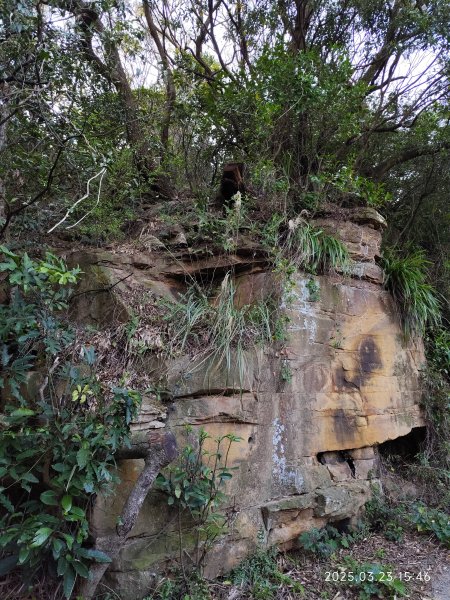 【臺北大縱走 5】碧山巖→忠勇山越嶺步道→金龍產業道路→圓明寺步道→鄭成功廟步道→文間山→劍潭山步道2744870