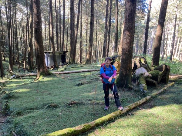 阿里山森林遊樂區、祝山觀日平台賞楓、小笠原山丶對高岳步道、塔山步道1548339