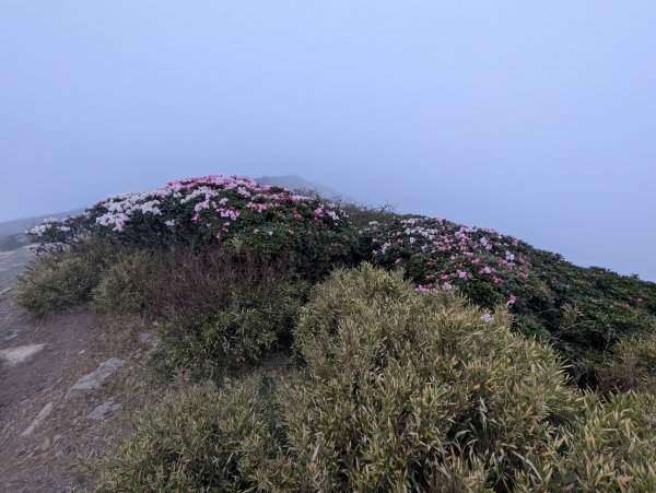 合歡山主峰3048406