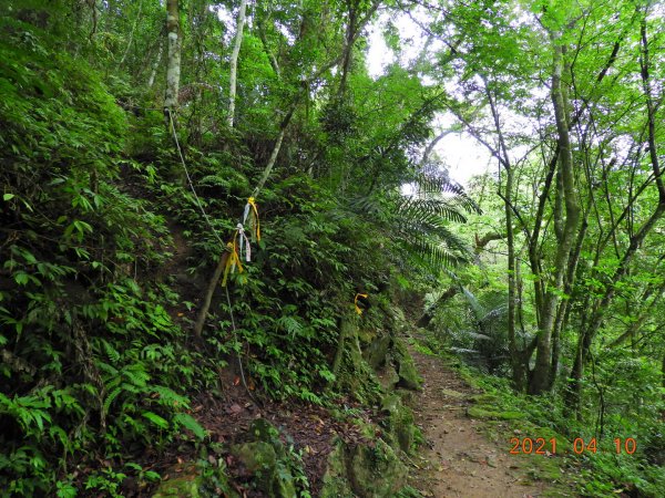 苗栗 南庄 小東河山1342290