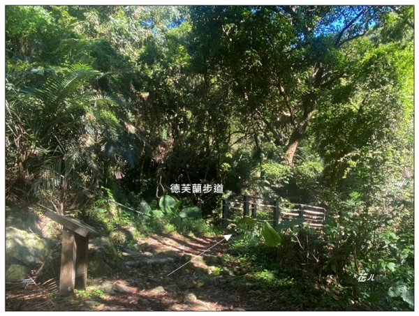 北松鶴山、德芙蘭步道 (台中 和平)2922127