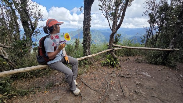 風和日麗來去烏來三山享受森林芬多精2984353