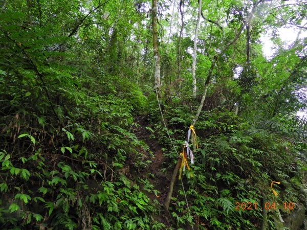 苗栗 南庄 小東河山1342291