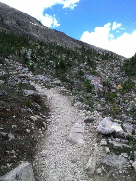 Iceline Trail (YOHO 加拿大幽鶴國家公園)2634592