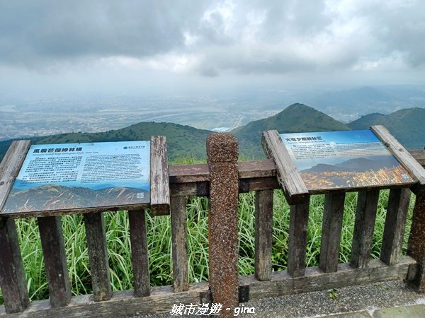 【台北北投】搭捷運公車爬山趣。 小百岳集起來。編號1小百岳~大屯山主峰步道1762768