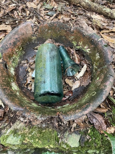 藤枝山&鳴海山2964423